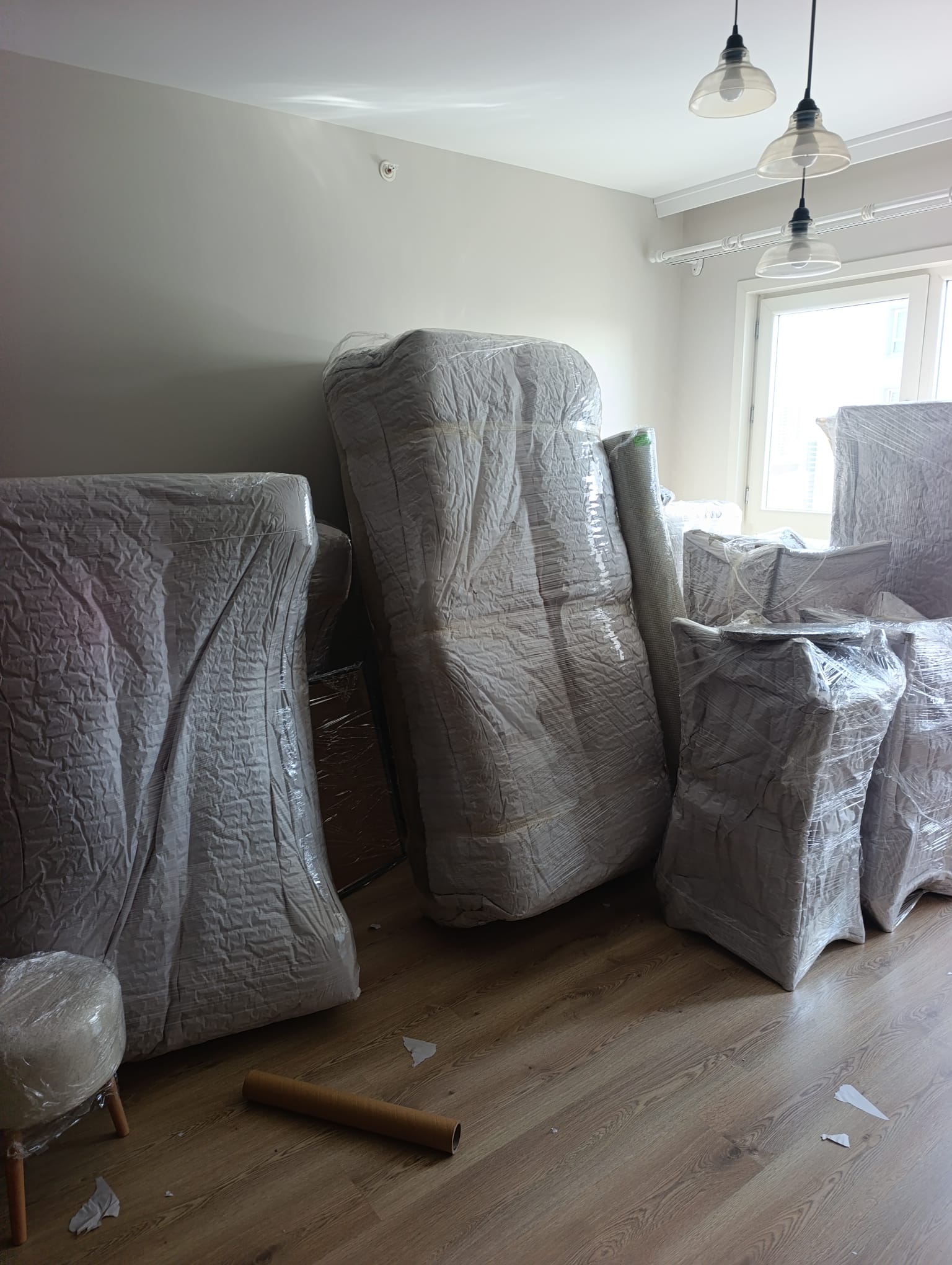 Profesyonel nakliyat hizmeti